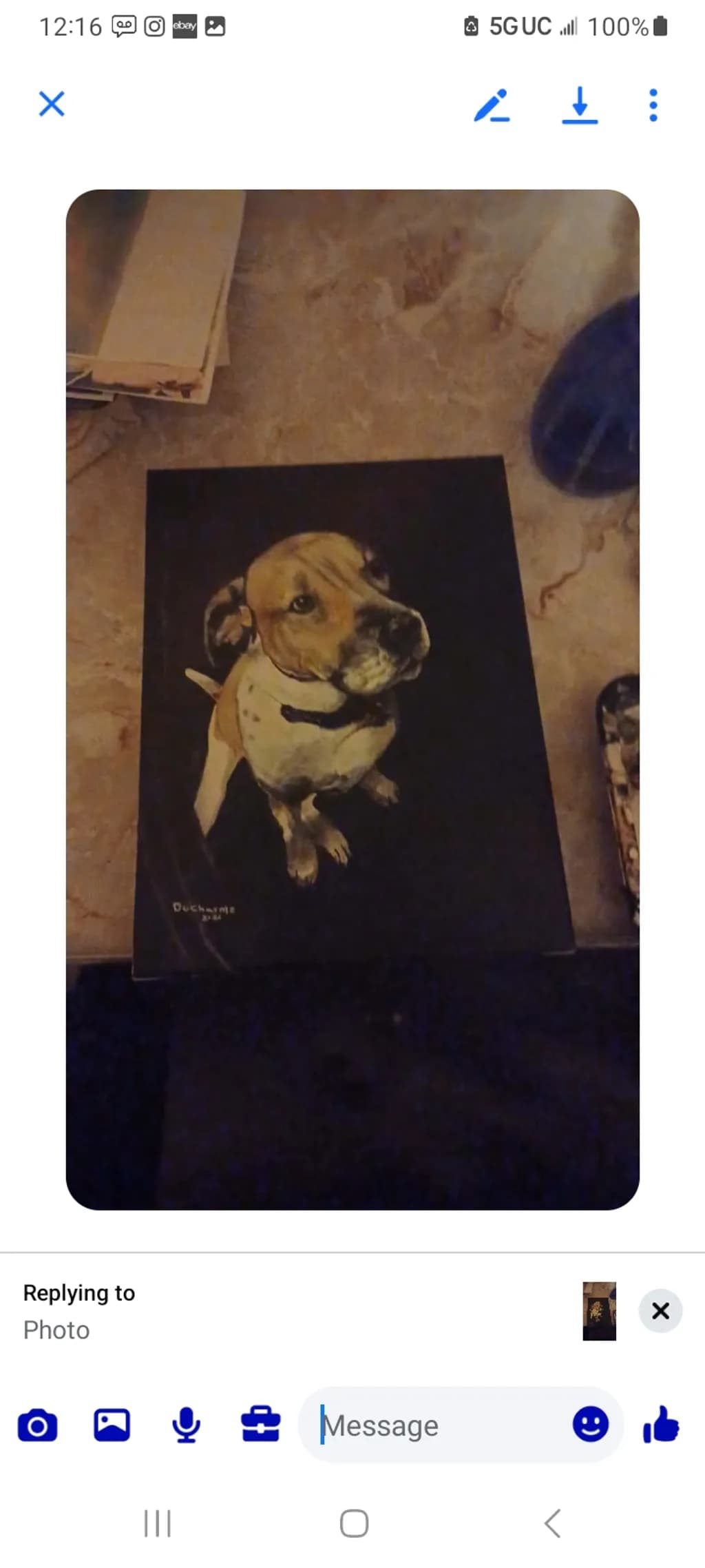 Inbound Dog Portrait