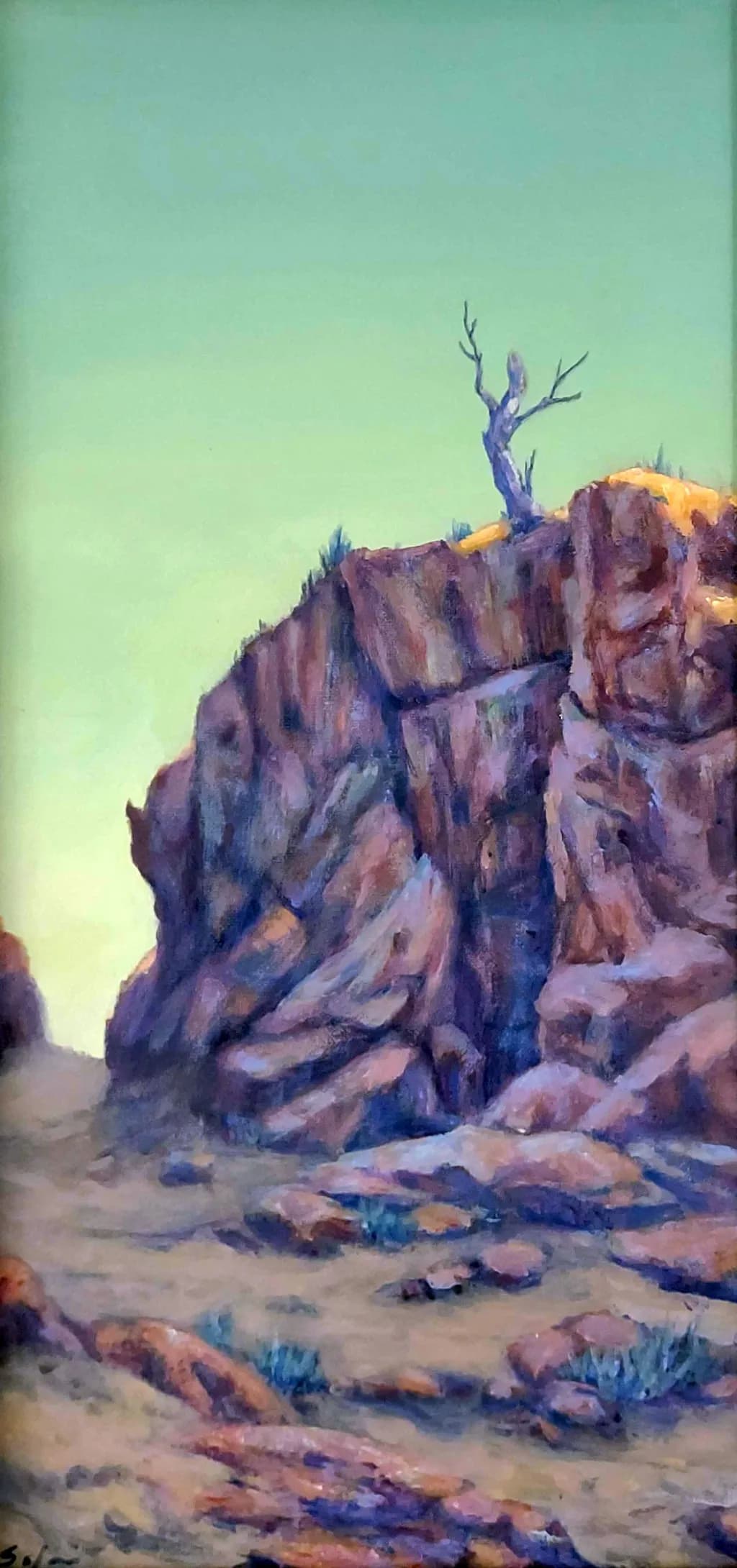 Canyon Muse