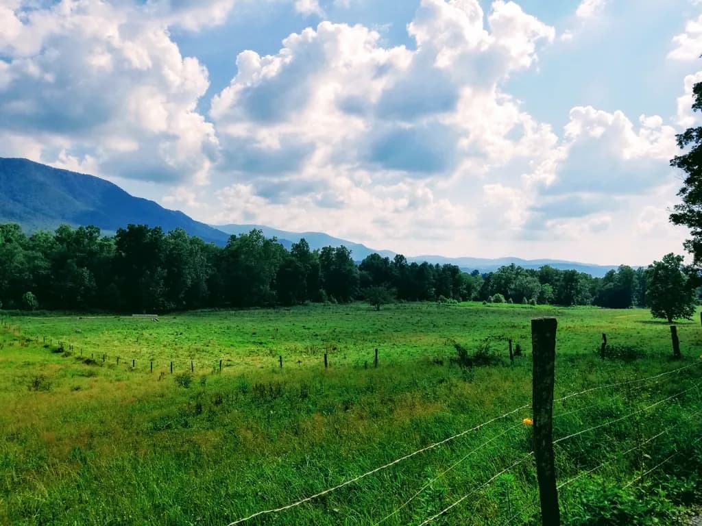 Green Pasture Landscape