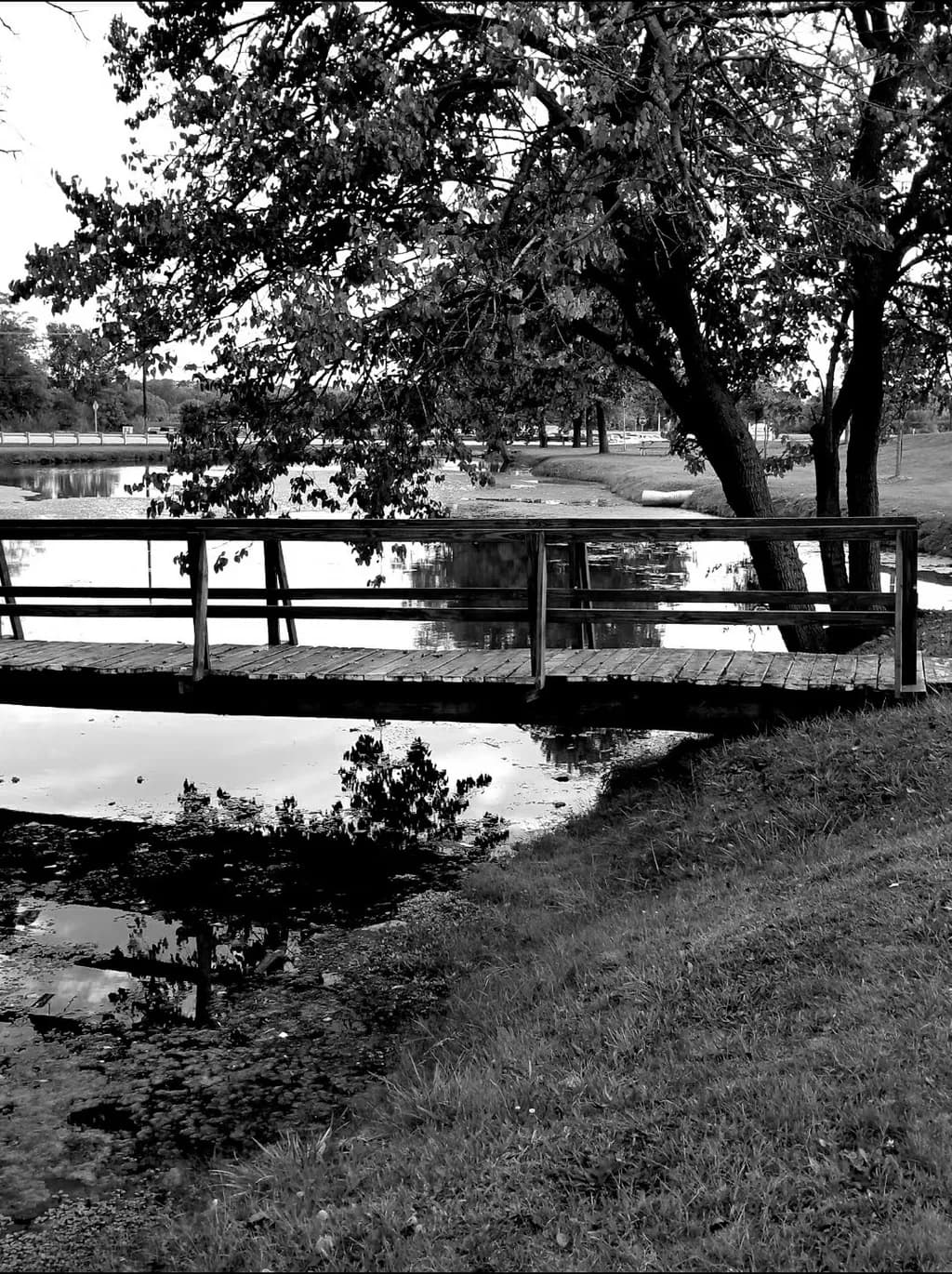 Bridge Over Creek