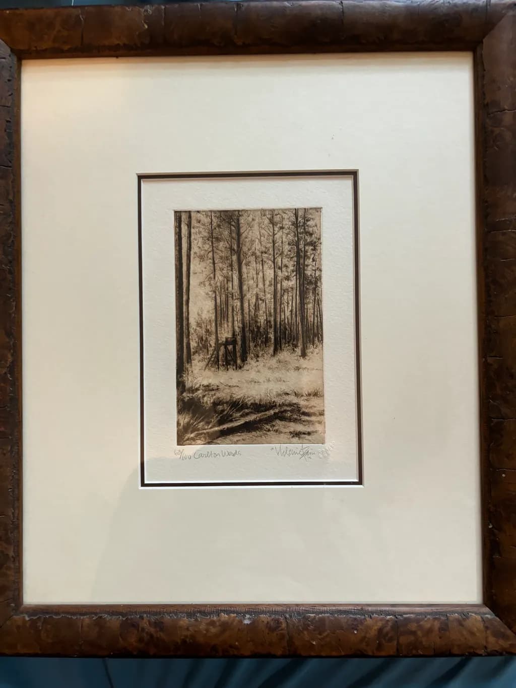 Carleton Woods