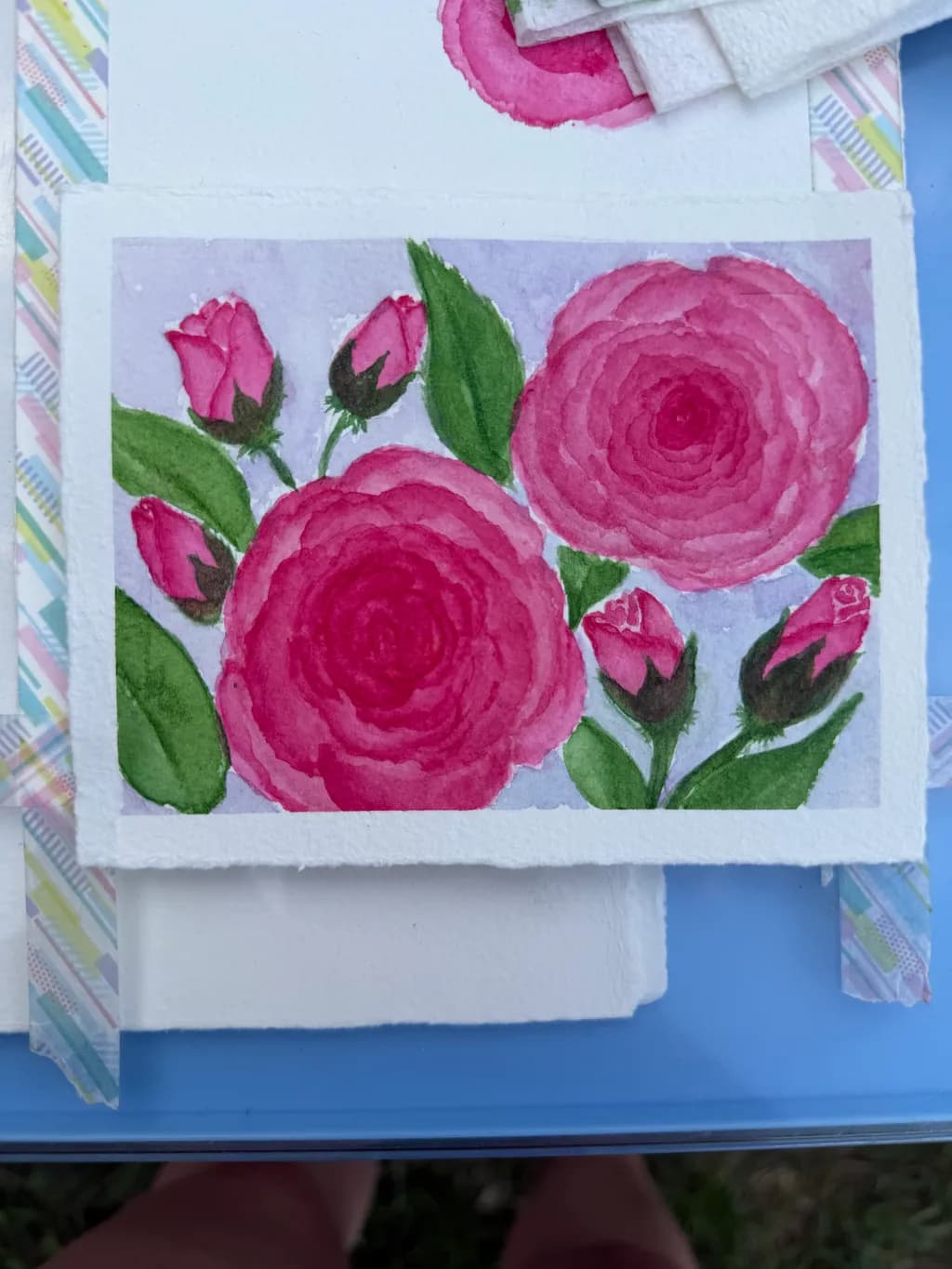 Pink Roses