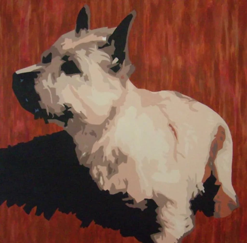Bull Terrier Portrait