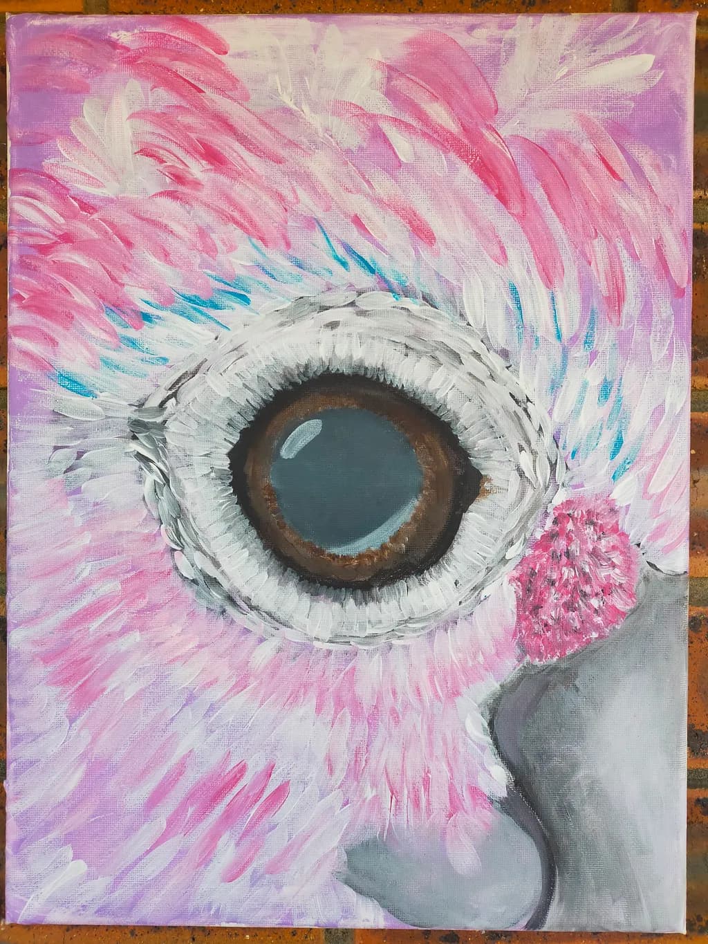 Pink Bird Eye Closeup