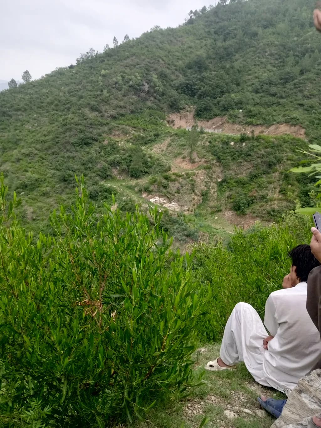 Mountain View Contemplation