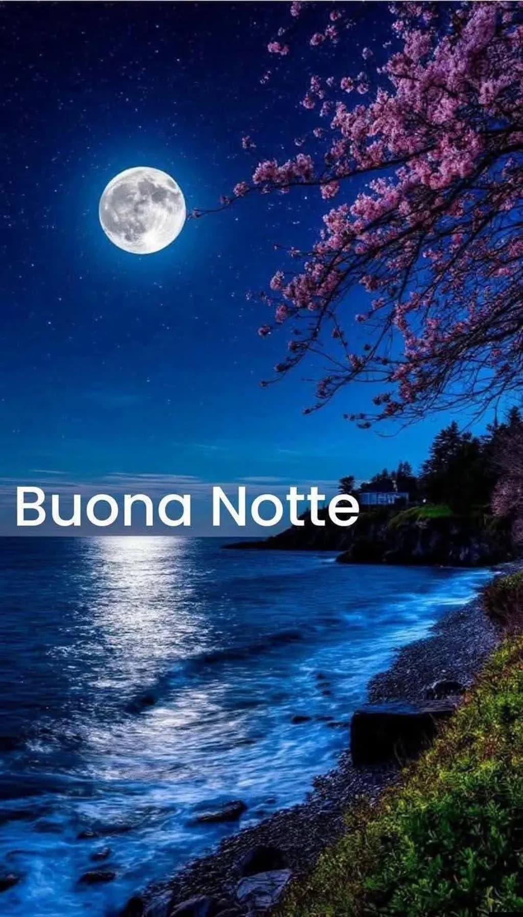 Moonlit Ocean Shore
