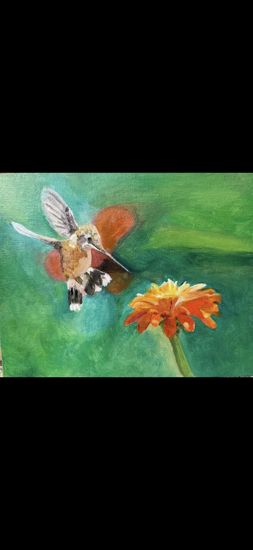 Hummingbird Orange Blossom
