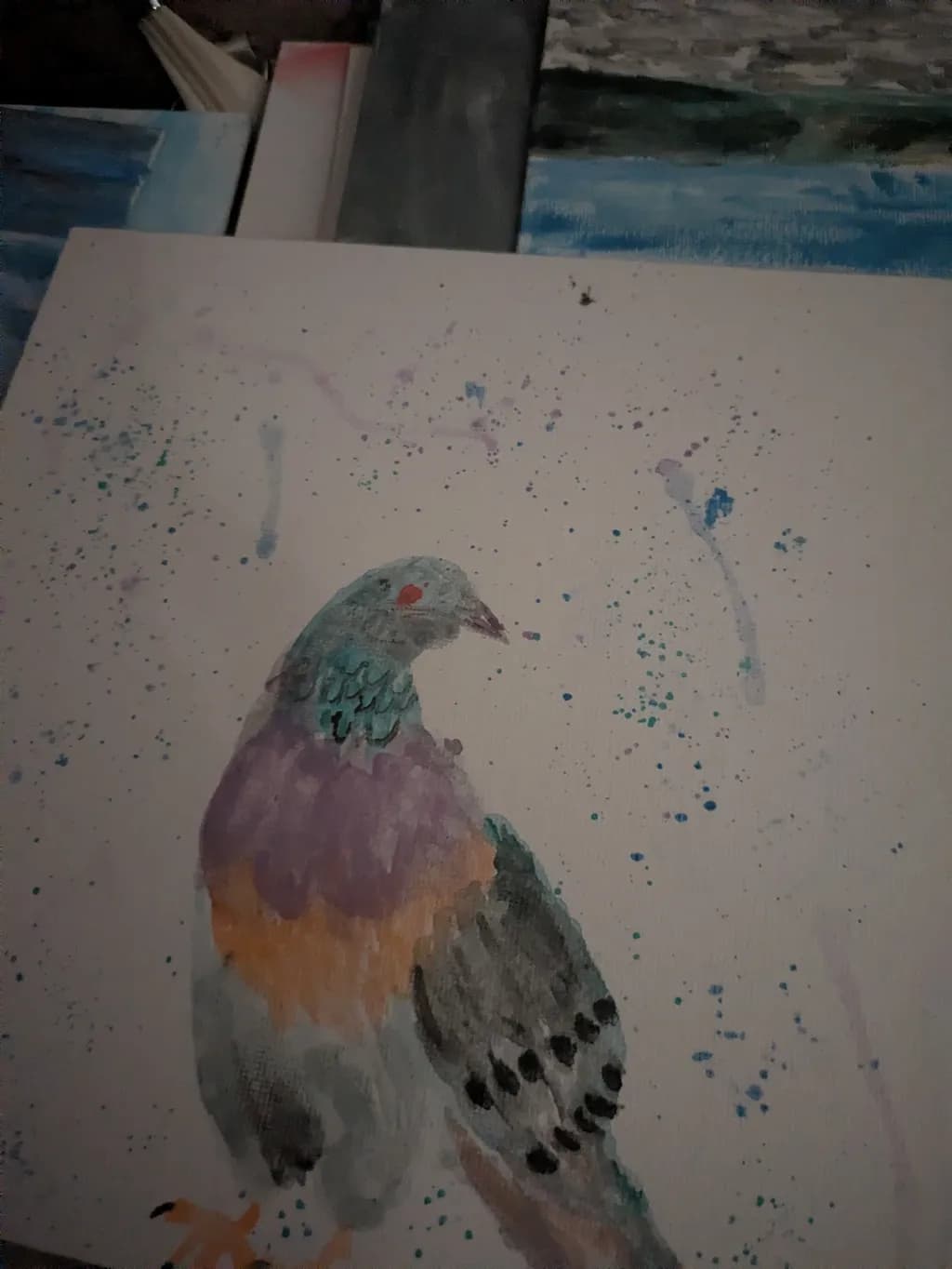 Colorful Pigeon