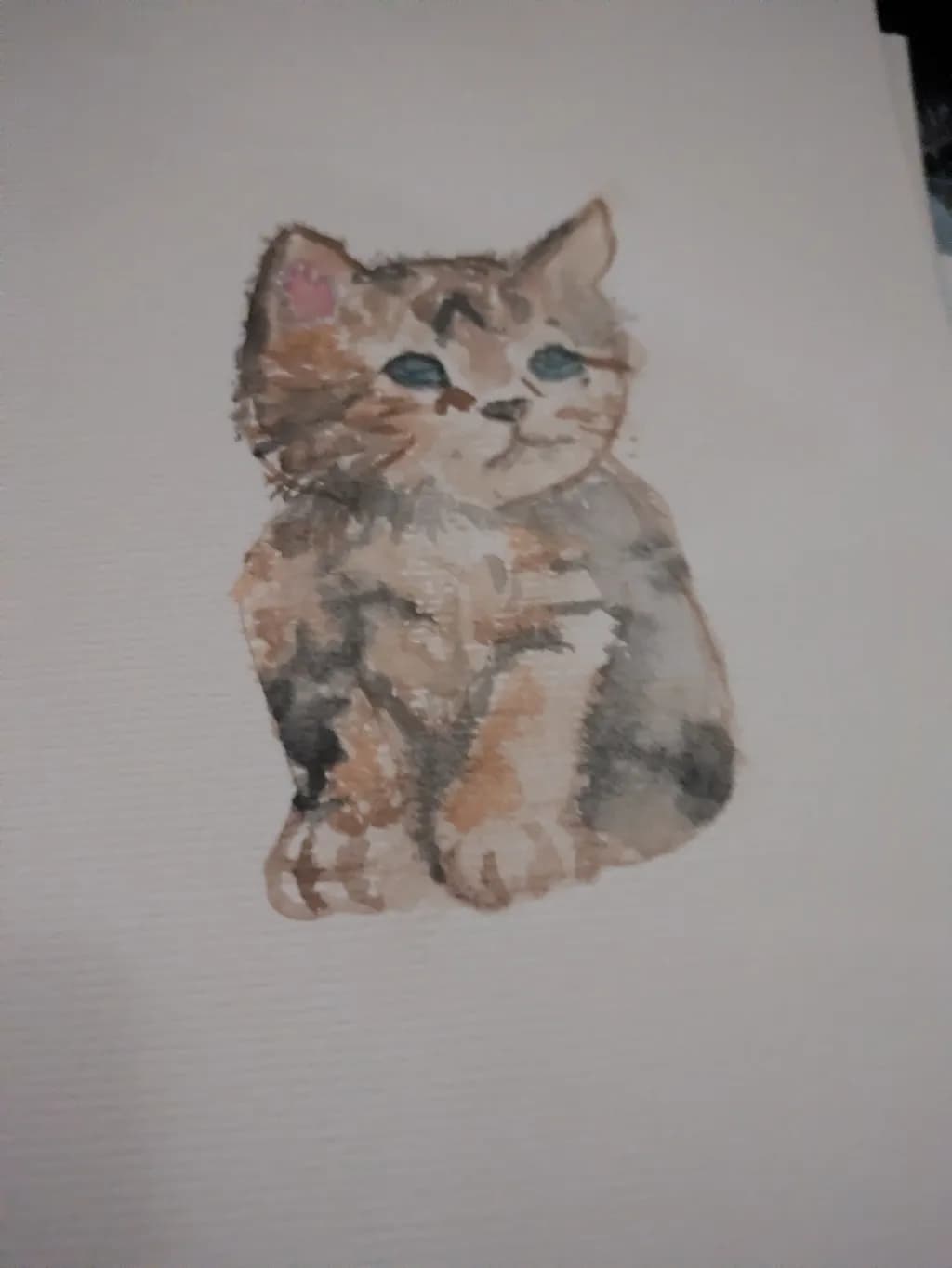 Tabby Kitten