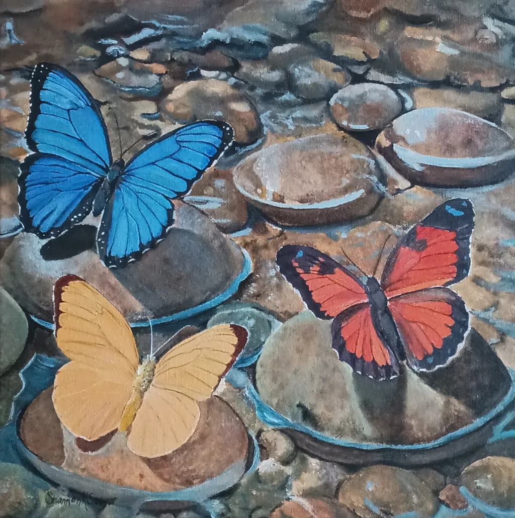 Butterflies on Rocks