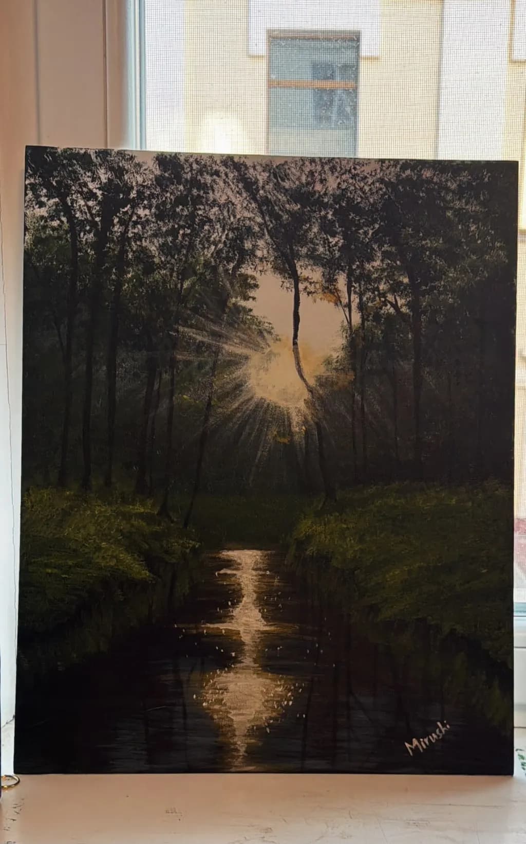 Sunlit Forest Stream