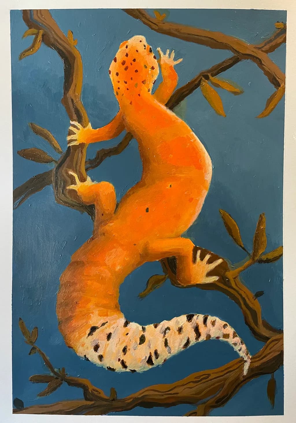 Orange Gecko on Branch