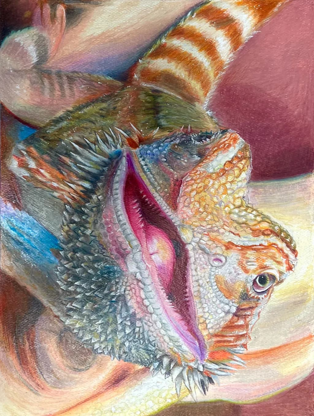 Bearded Dragon Close-Up