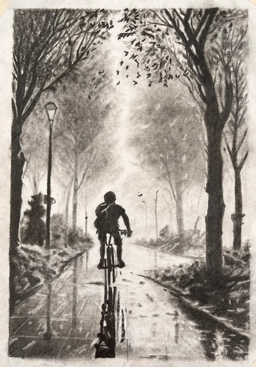 Forest Ride