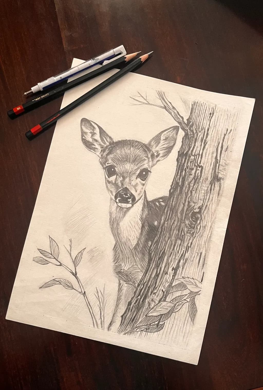 Fawn by Tree