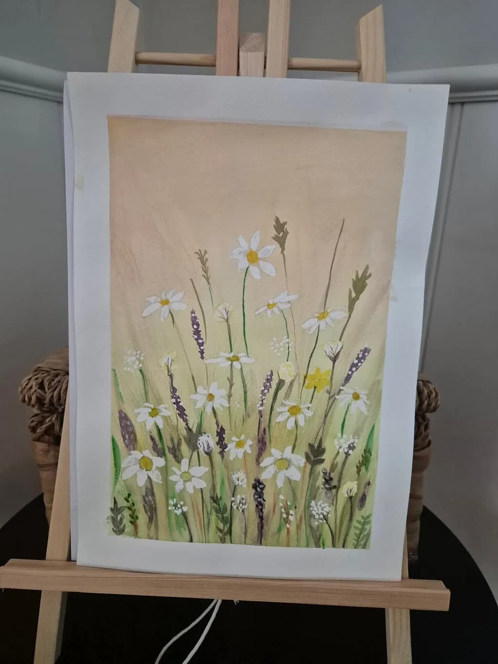 Wildflower Meadow
