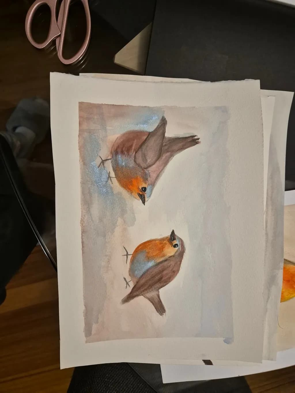 Robin Pair