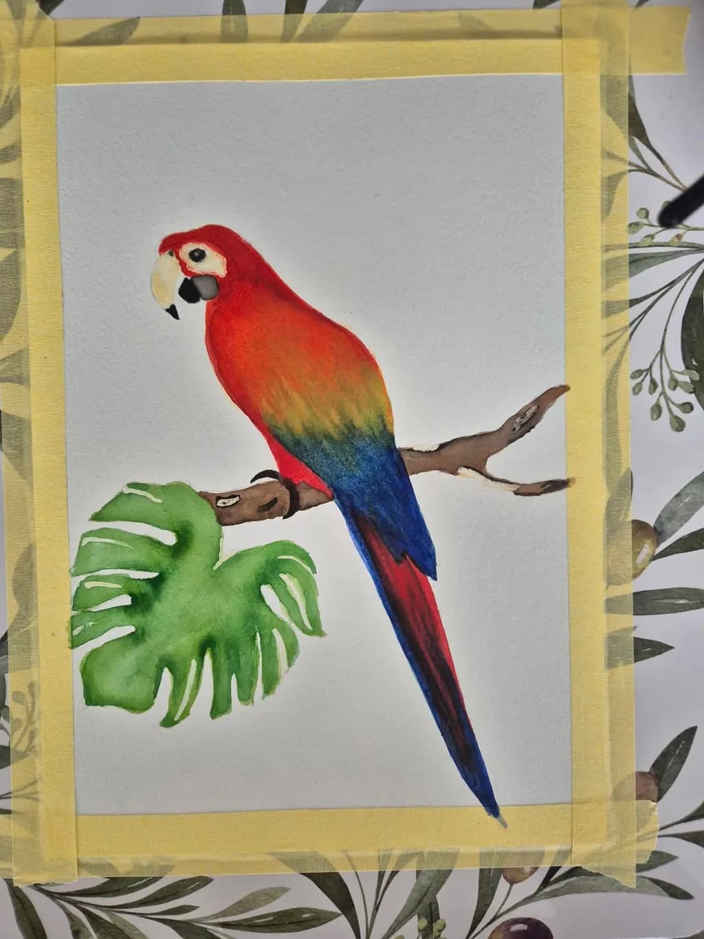 Tropical Parrot Study