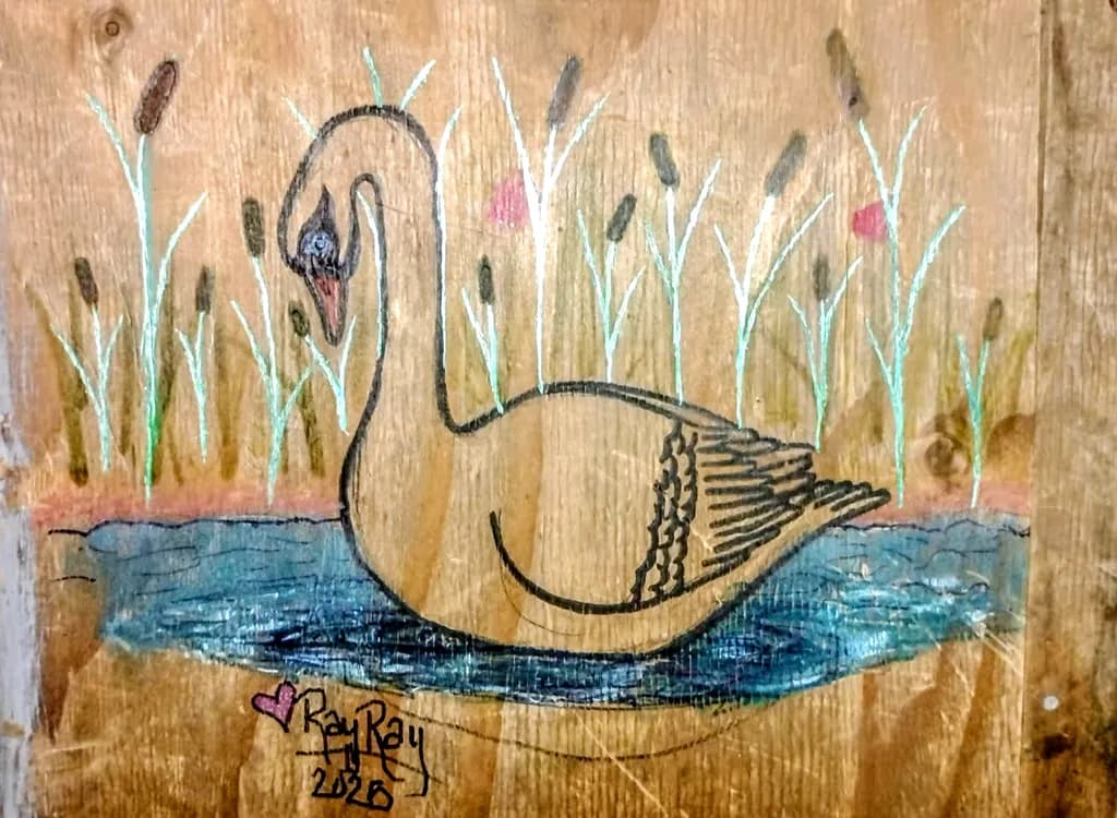 Woodland Swan Pond
