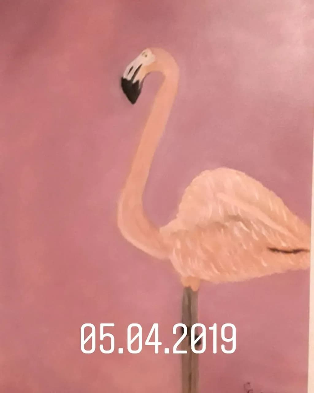 Pink Flamingo Portrait