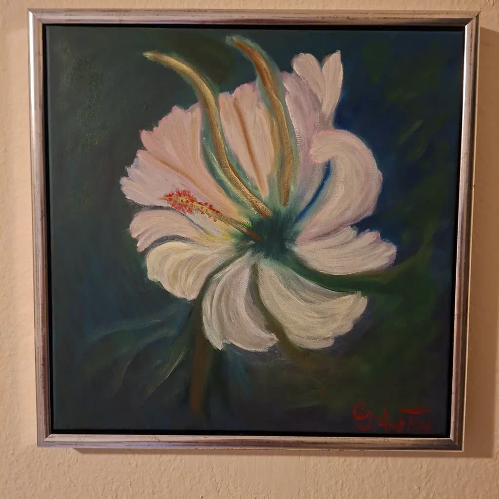 White Flower Bloom