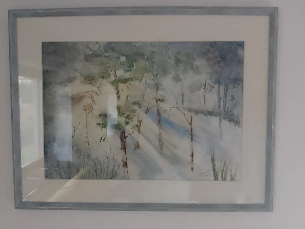 Inbound Forest Scene