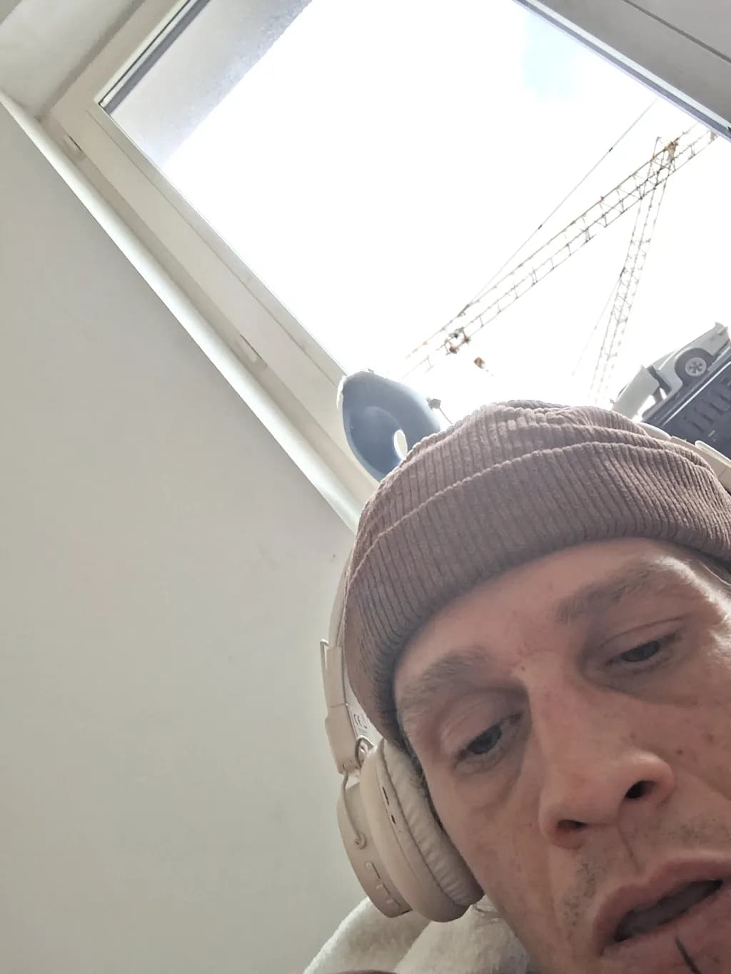 Self Portrait with Window and Crane