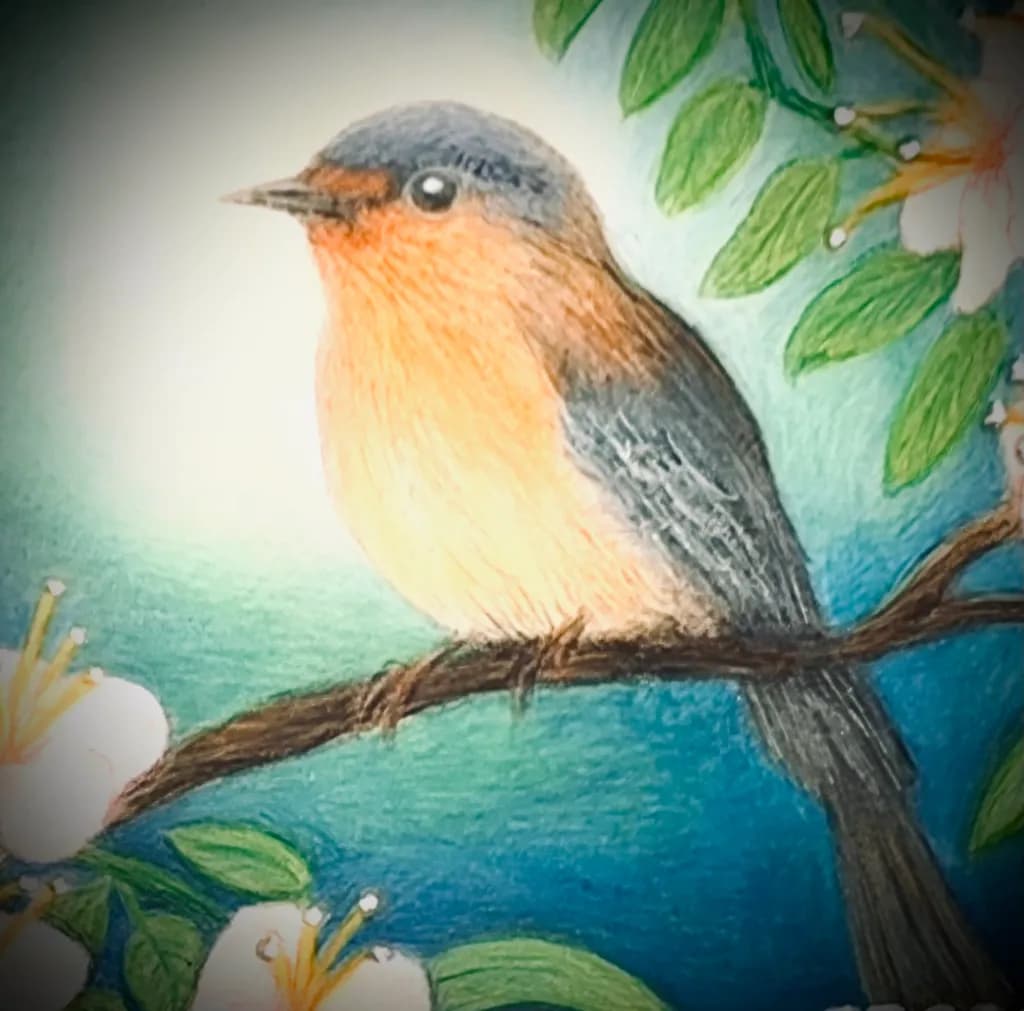 Robin on Bloomed Branch