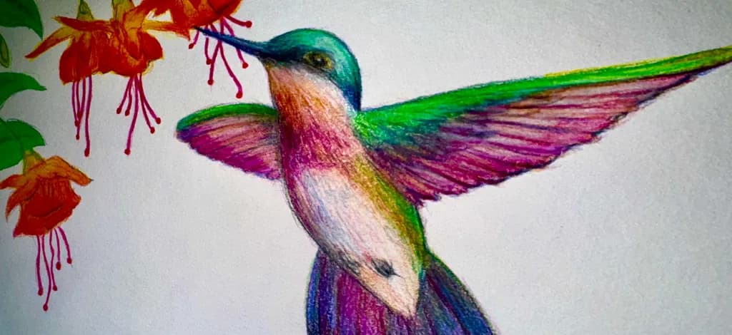 Hummingbird and Flowers