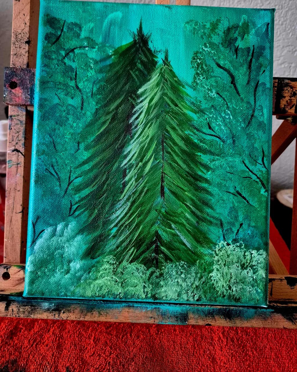 Pine Trees in Forest