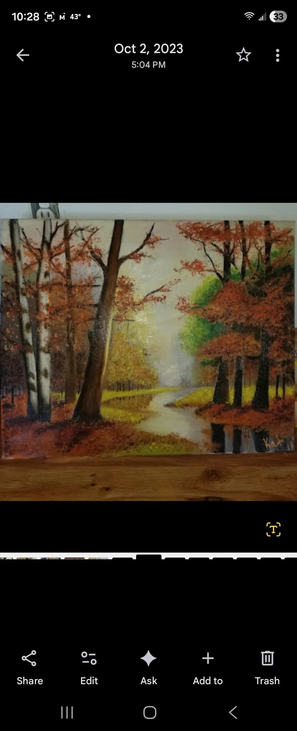 Autumn Forest Path