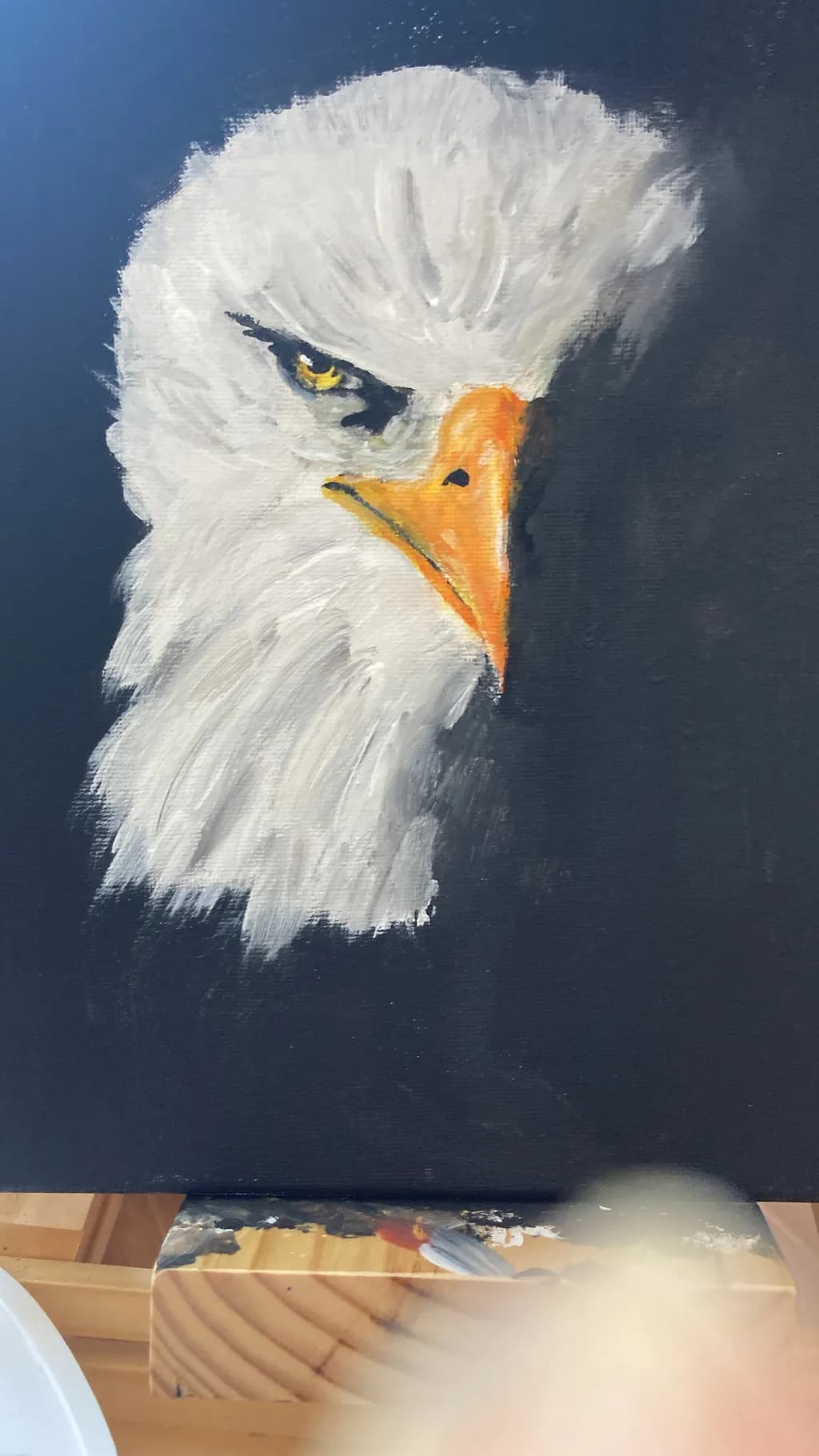 Eagle Portrait