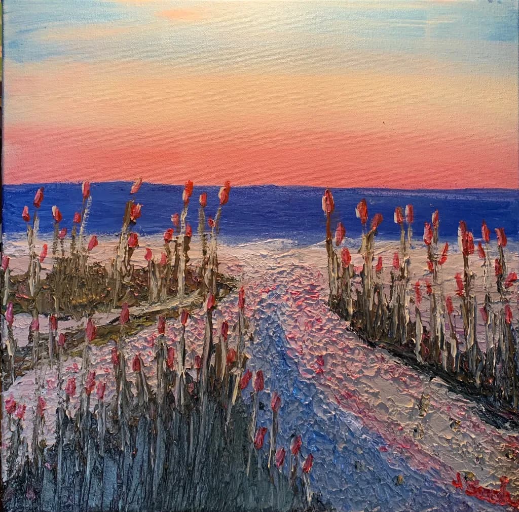 Sunset Over Flowers