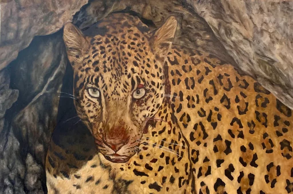 Leopard in Rock Shelter
