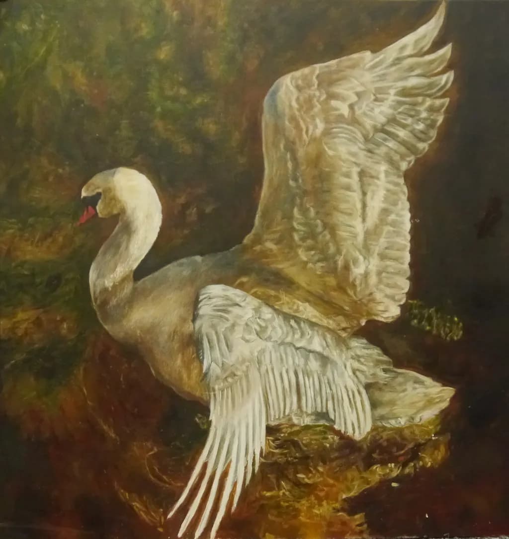 Swan in Flight
