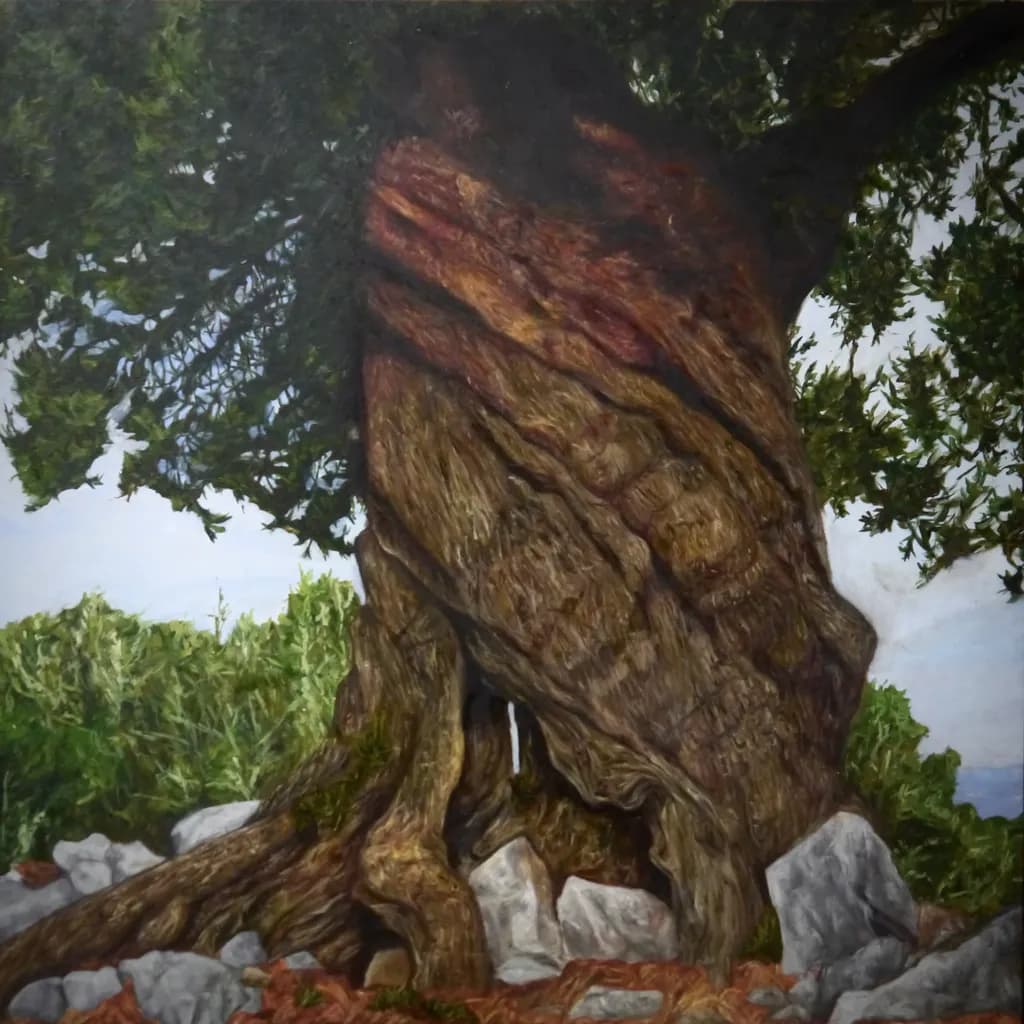Ancient Tree Trunk