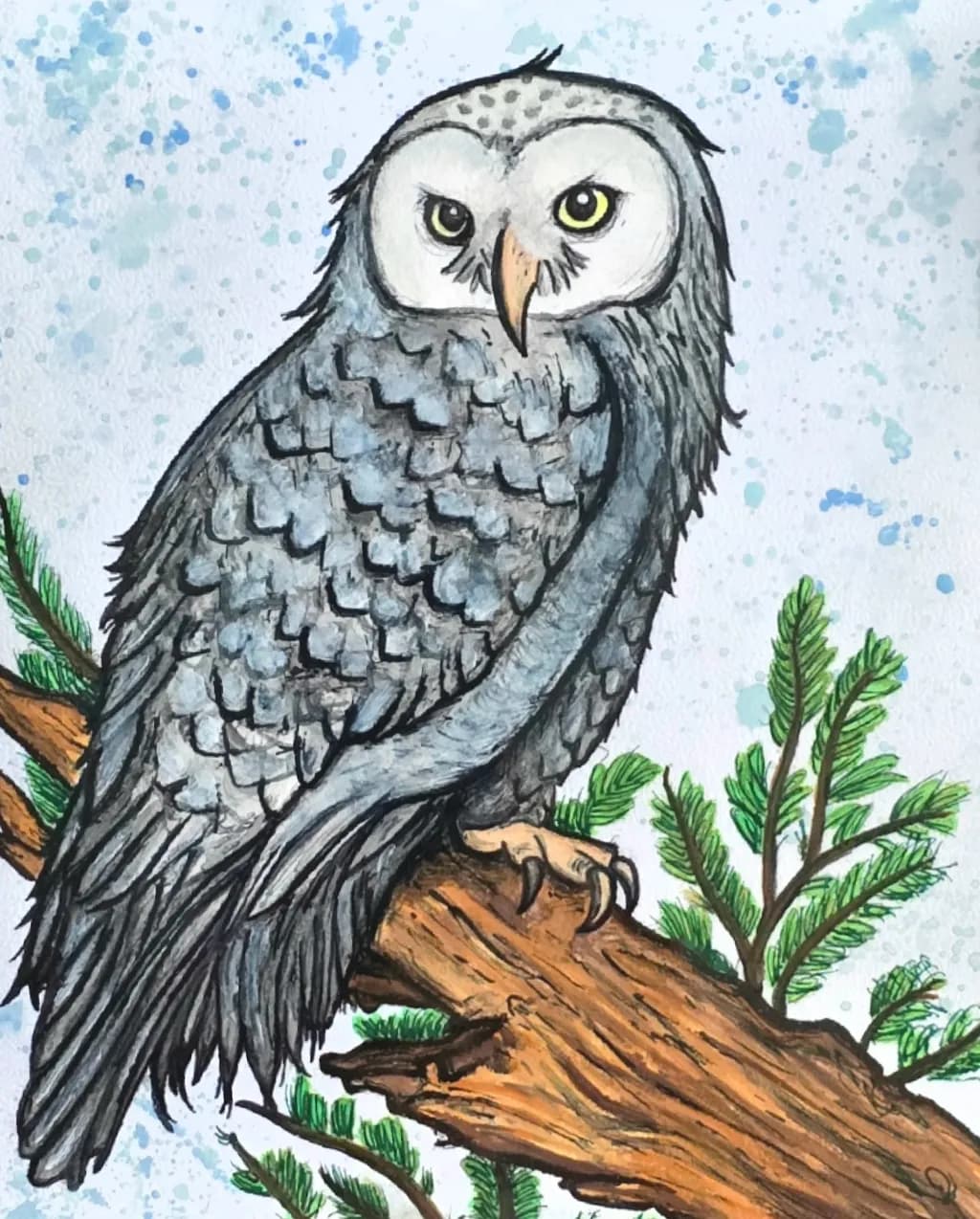 Perched Owl on Branch