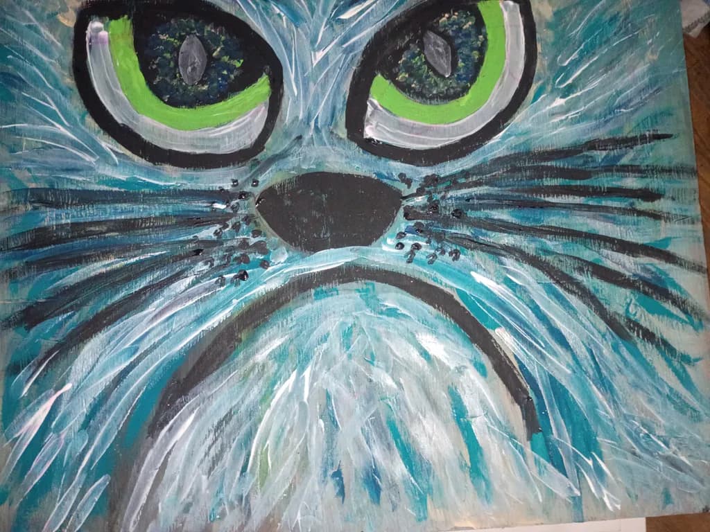 Cat Face Closeup