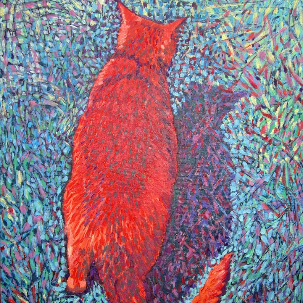 Red Cat Shadow