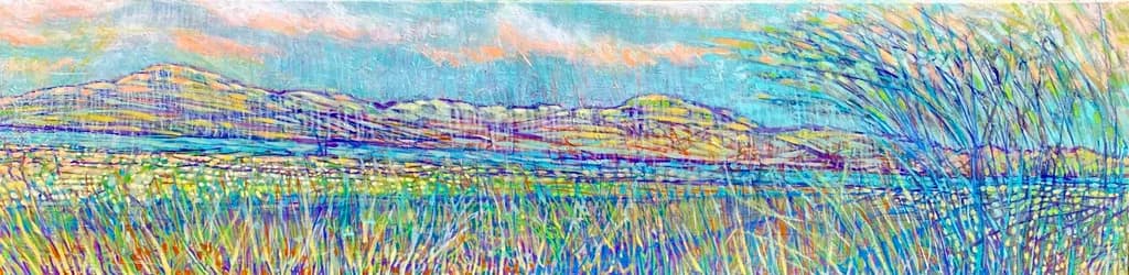 Wigtown Bay Summer
