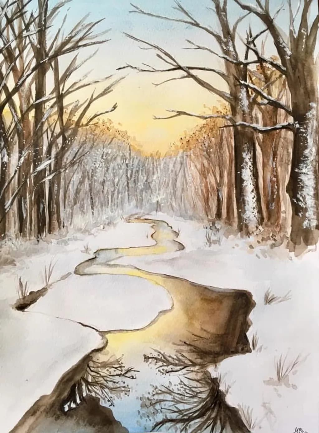 Winter Forest Stream