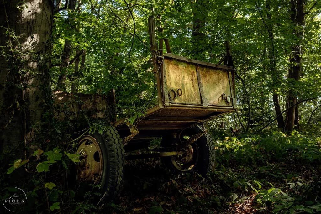 Rusting Cart in Forest Light