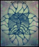Original