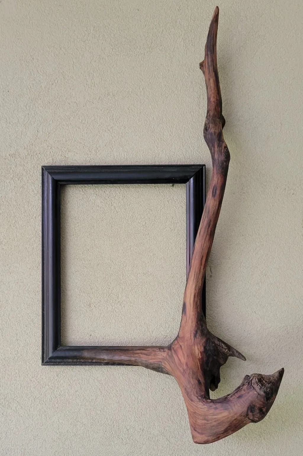 Driftwood Frame