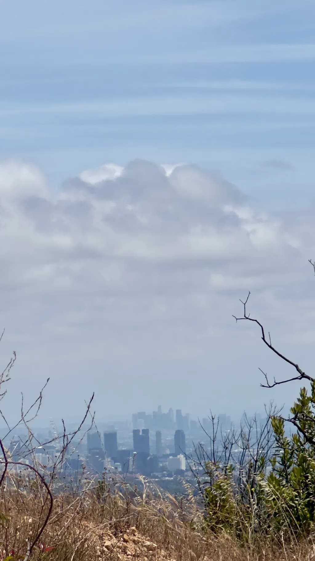 City Skyline Haze