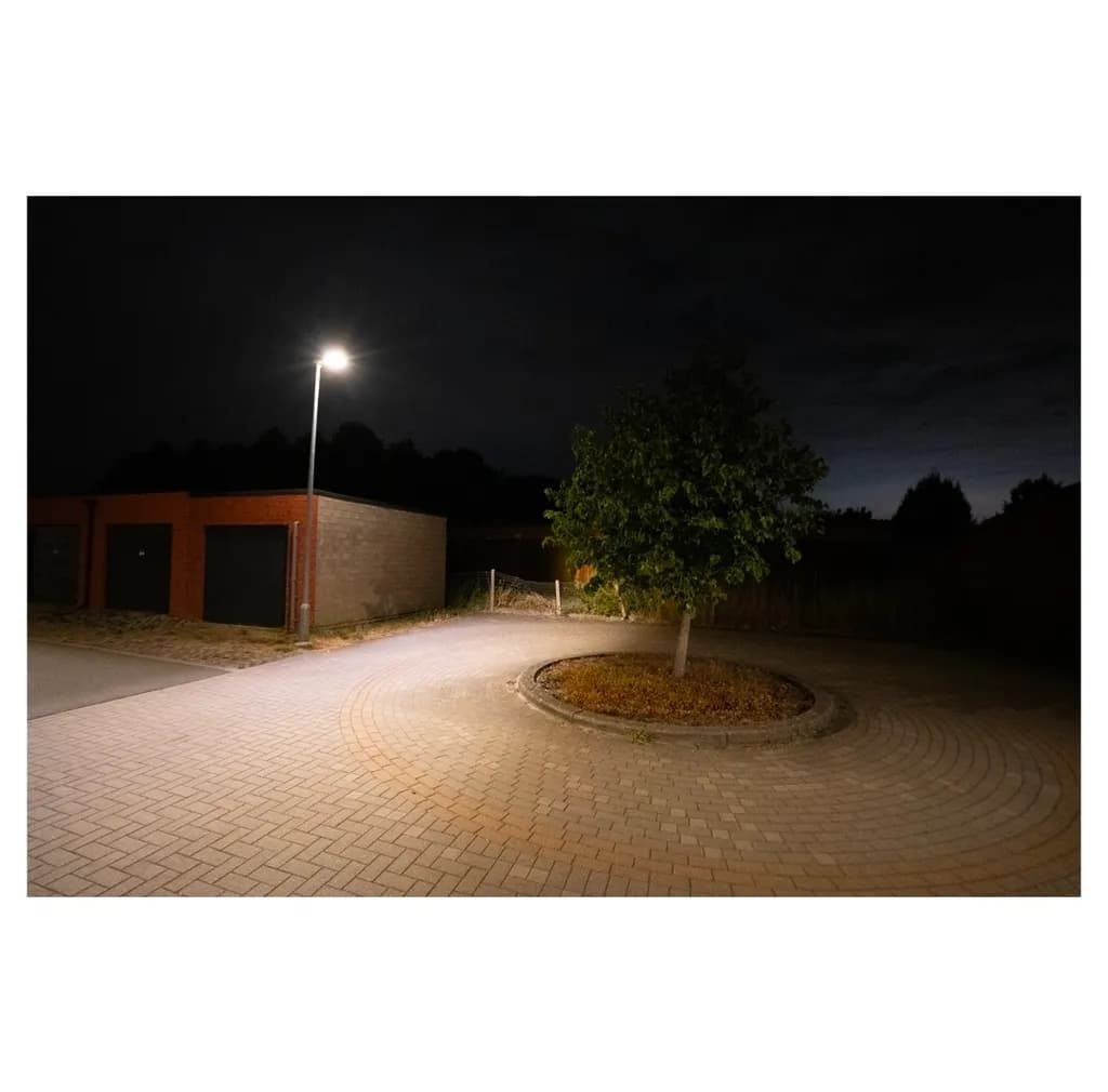 Night Streetlight Tree