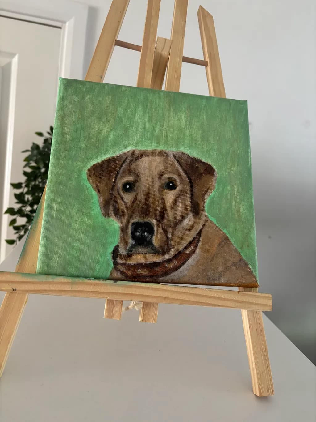Brown Dog Portrait