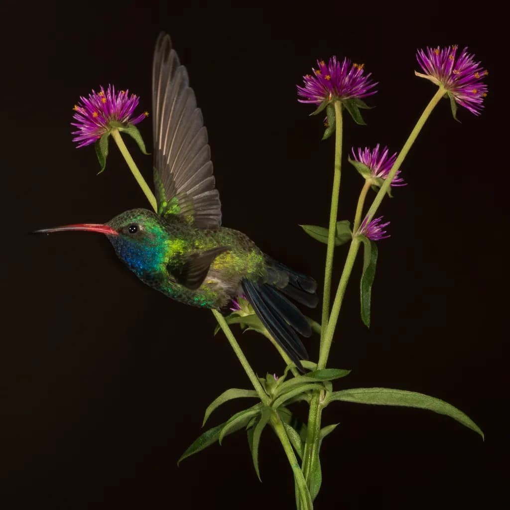LowKey Hummingbird Flowers