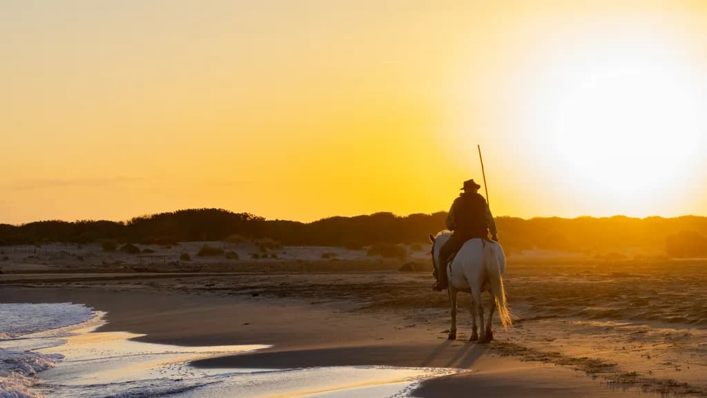 Camargue Horse Guardien Sunset