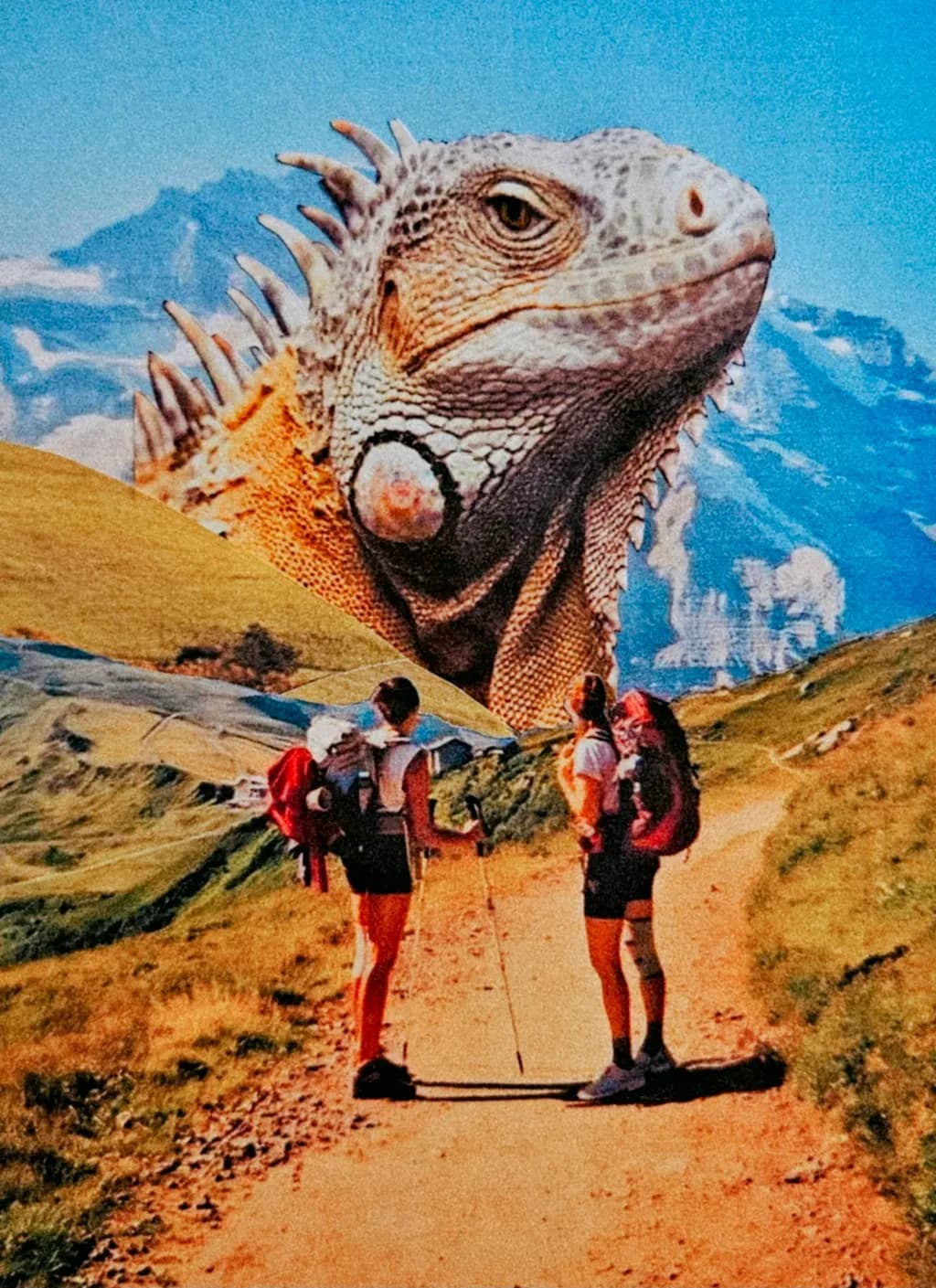 Surprise at 1,200 Feet 
